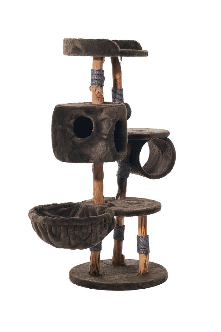 Nobby Kratzbaum Gena